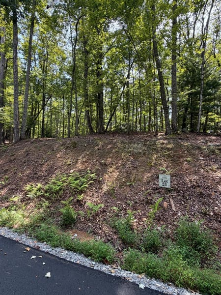 Blue Ridge, GA 30513 Fannin County