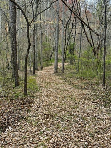 Blue Ridge, GA 30513 Fannin County