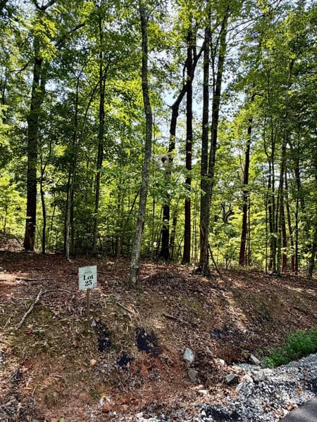 Blue Ridge, GA 30513 Fannin County