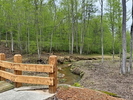 Blue Ridge, GA 30513 Fannin County
