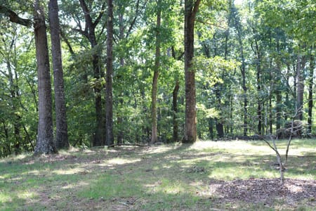 Comer, GA 30629 Madison County
