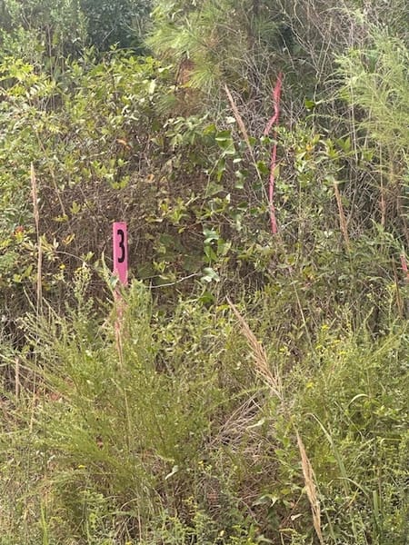 Monticello, GA 31064 Jasper County