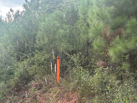 Monticello, GA 31064 Jasper County