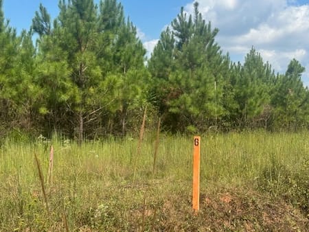 Monticello, GA 31064 Jasper County