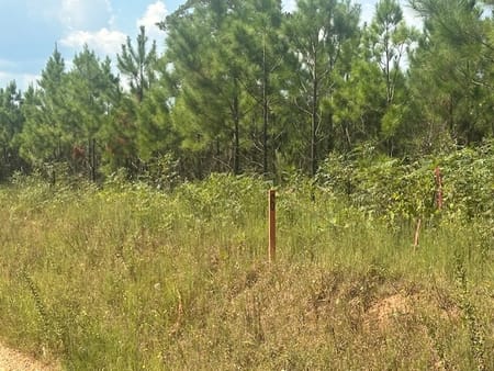 Monticello, GA 31064 Jasper County