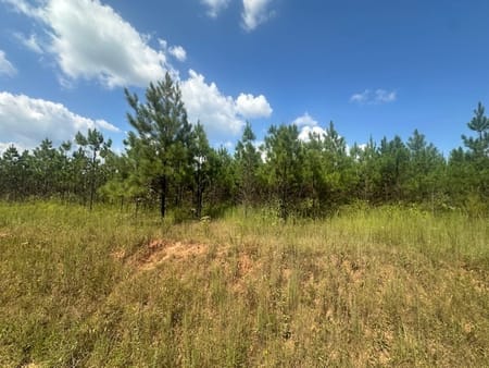Monticello, GA 31064 Jasper County