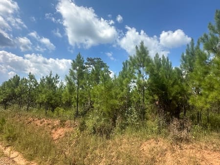 Monticello, GA 31064 Jasper County