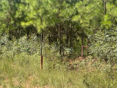 Monticello, GA 31064 Jasper County