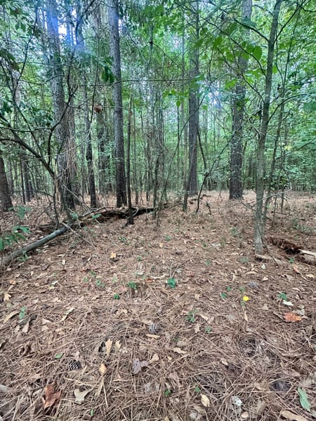 Bowman, GA 30624 Elbert County