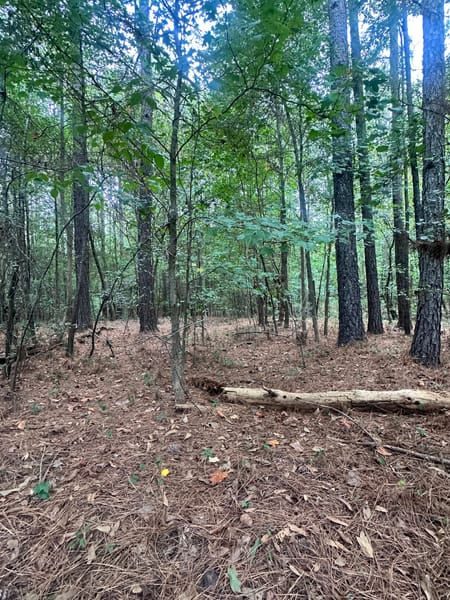 Bowman, GA 30624 Elbert County