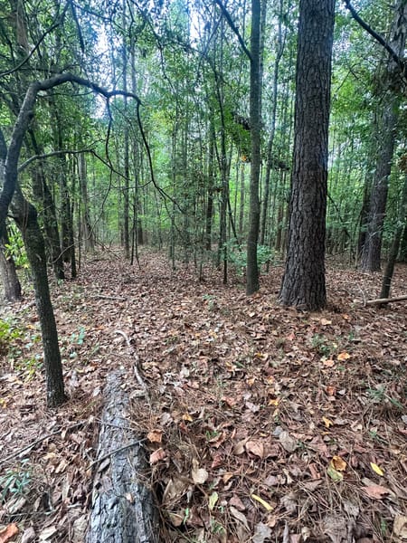 Bowman, GA 30624 Elbert County