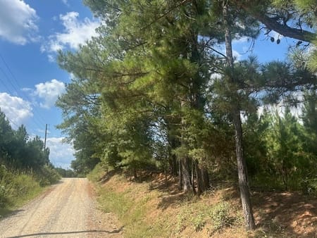 Monticello, GA 31064 Jasper County
