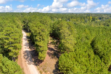 Carlton, GA 30627 Oglethorpe County