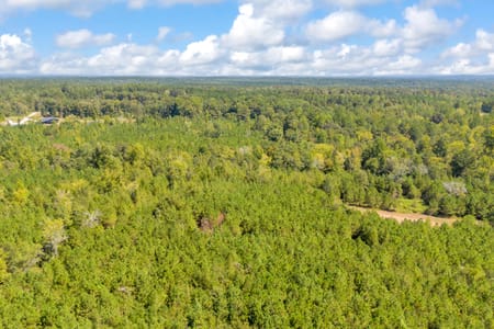 Carlton, GA 30627 Oglethorpe County