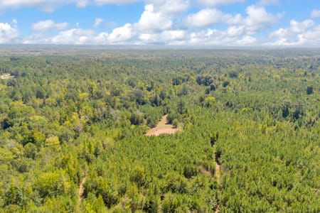 Carlton, GA 30627 Oglethorpe County