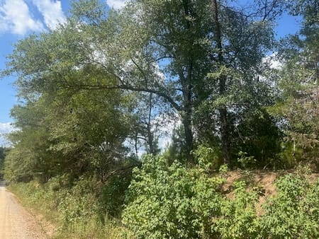 Monticello, GA 31064 Jasper County