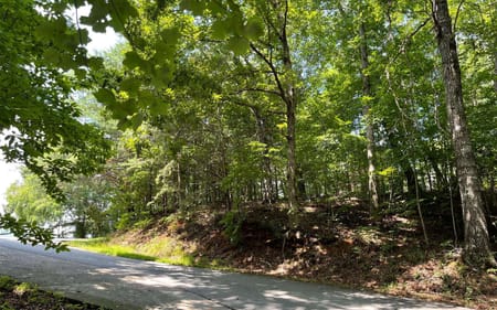Hiawassee, GA 30546 Towns County
