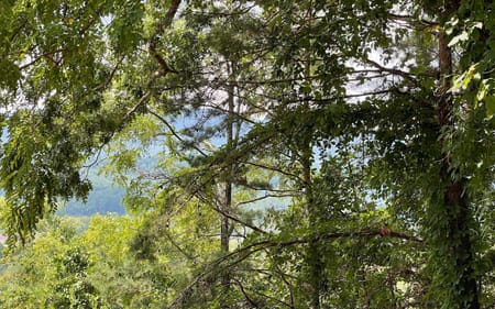 Hiawassee, GA 30546 Towns County