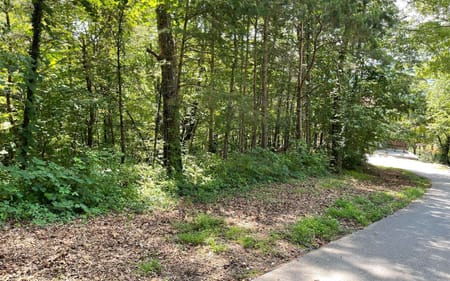 Hiawassee, GA 30546 Towns County