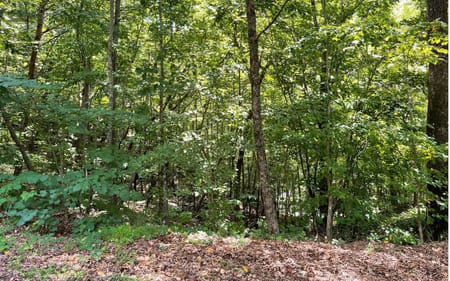 Hiawassee, GA 30546 Towns County