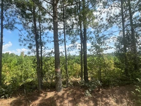 Monticello, GA 31064 Jasper County