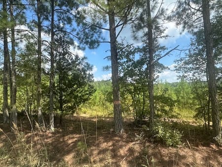 Monticello, GA 31064 Jasper County