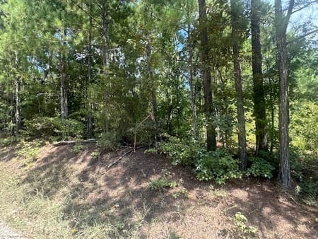 Monticello, GA 31064 Jasper County