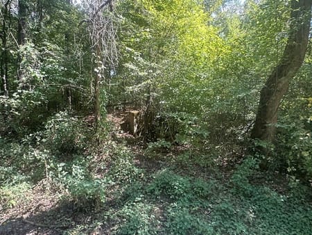 Monticello, GA 31064 Jasper County