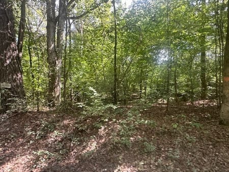Monticello, GA 31064 Jasper County