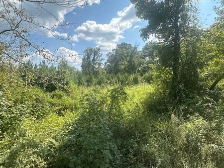 Monticello, GA 31064 Jasper County