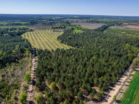 Cobbtown, GA 30420 Candler County