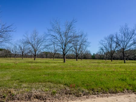 Cobbtown, GA 30420 Candler County