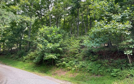 Hiawassee, GA 30546 Towns County
