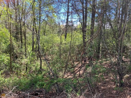 Thomaston, GA 30286 Upson County