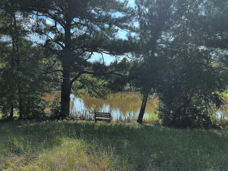 Thomaston, GA 30286 Upson County