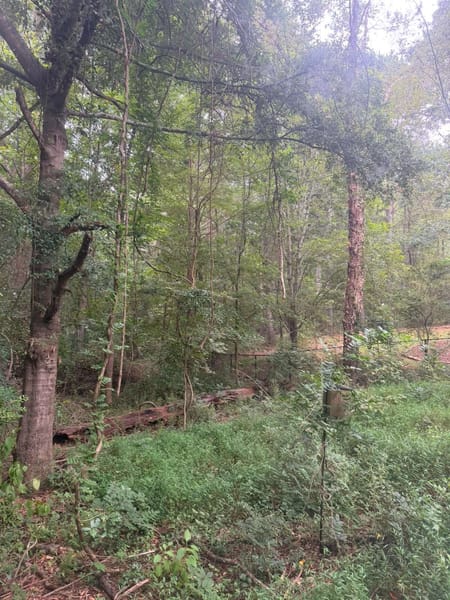 Athens, GA 30605 Clarke County