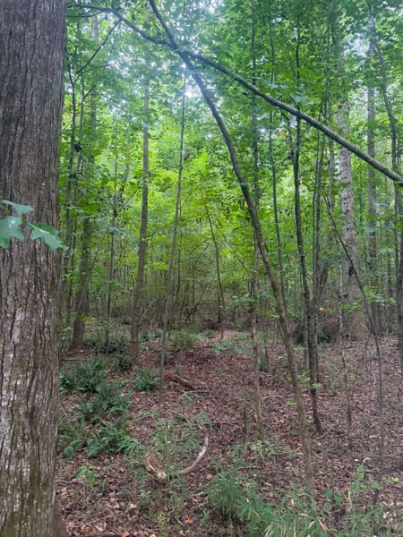 Athens, GA 30605 Clarke County