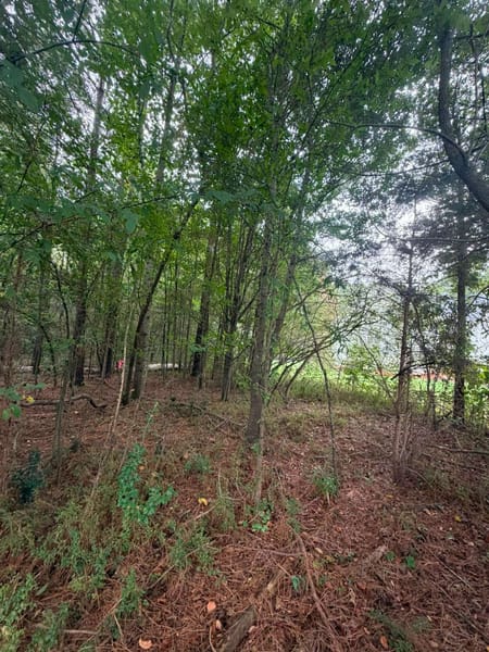 Athens, GA 30605 Clarke County