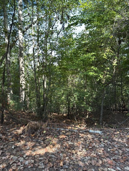 Ranger, GA 30734 Gordon County