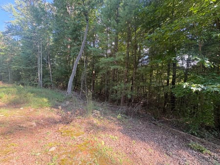 Blue Ridge, GA 30513 Fannin County