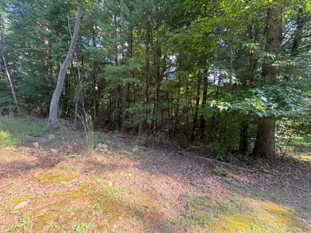 Blue Ridge, GA 30513 Fannin County