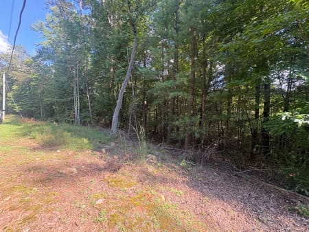 Blue Ridge, GA 30513 Fannin County