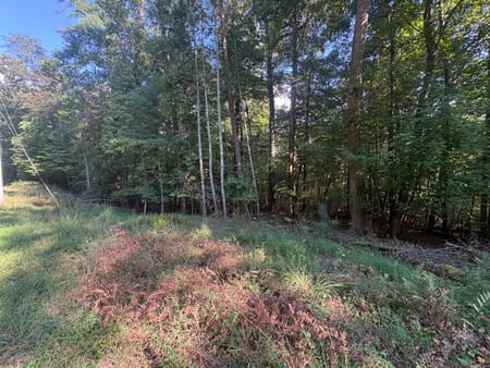 Blue Ridge, GA 30513 Fannin County