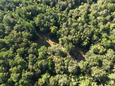 Springfield, GA 31329 Effingham County