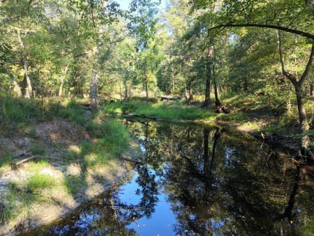 Springfield, GA 31329 Effingham County