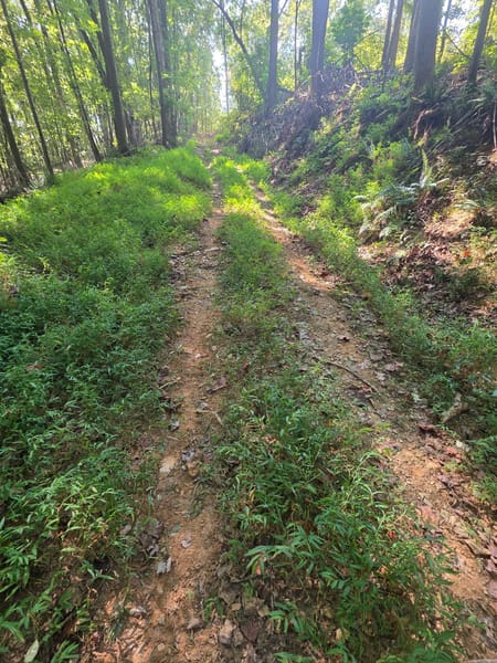 Rockmart, GA 30153 Paulding County