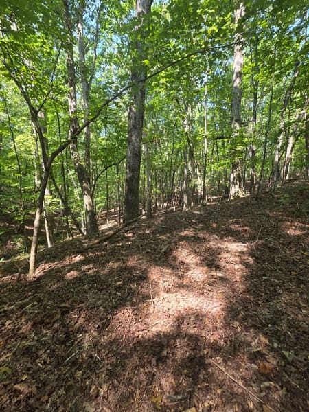 Rockmart, GA 30153 Paulding County