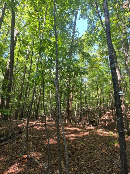 Rockmart, GA 30153 Paulding County