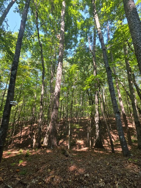 Rockmart, GA 30153 Paulding County