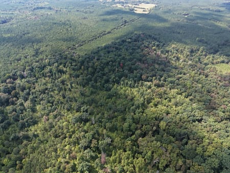 Tignall, GA 30668 Wilkes County